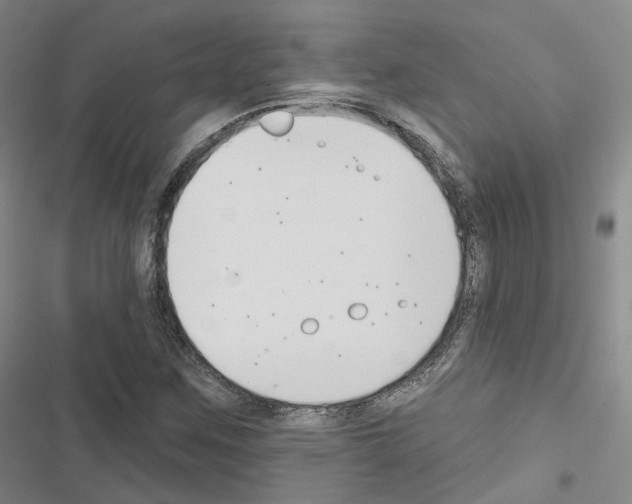 X0000116651259201001251149