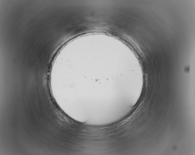 X0000116651260201001251149