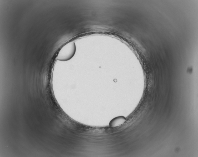 X0000116651261201001251149
