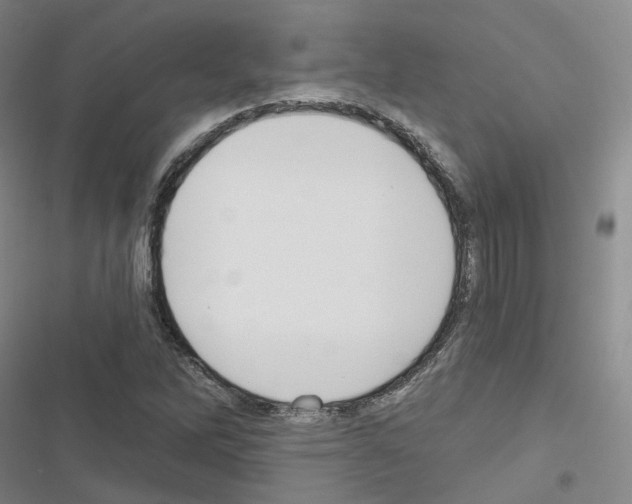 X0000116651262201001251149