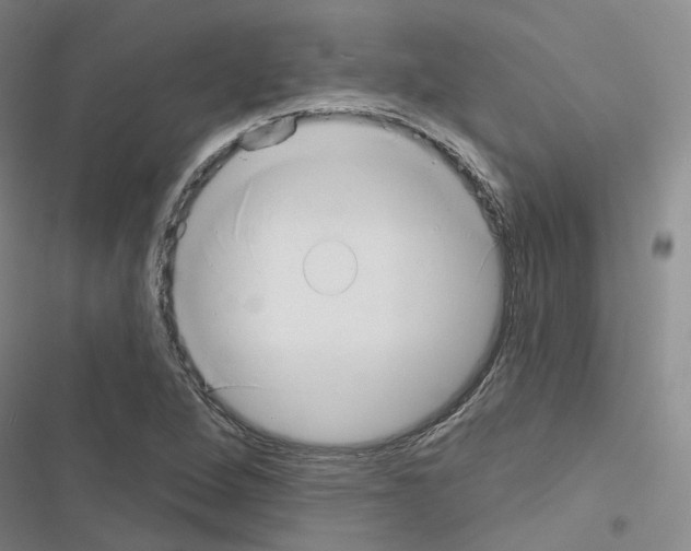X0000116651264201001251149