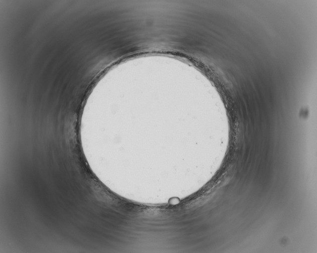 X0000116651265201001251149