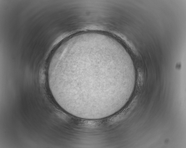 X0000116651266201001251149