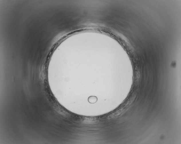 X0000116651267201001251149