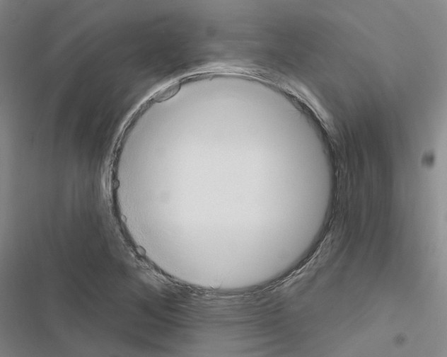 X0000116651268201001251149