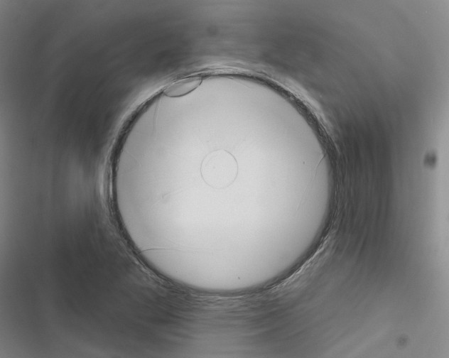 X0000116651269201001251149
