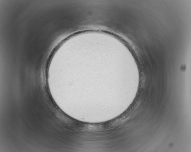 X0000116651271201001251149