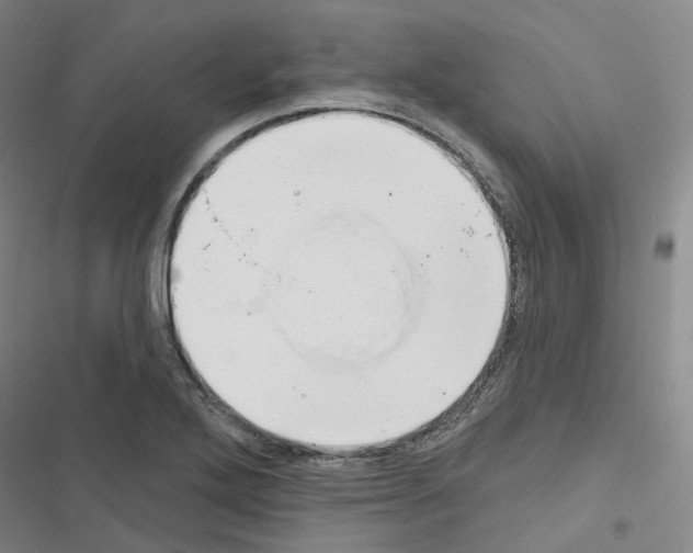 X0000116651272201001251149