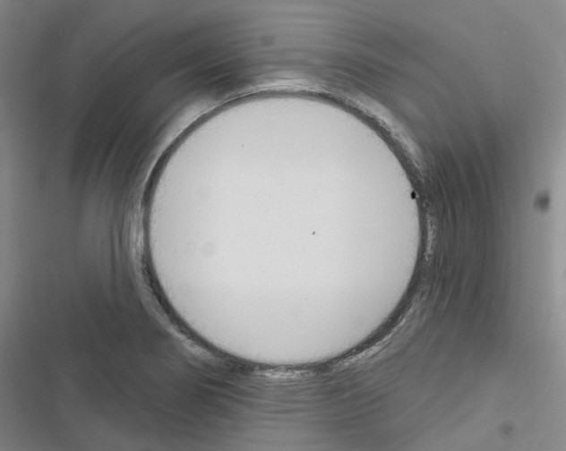 X0000116651274201001251149