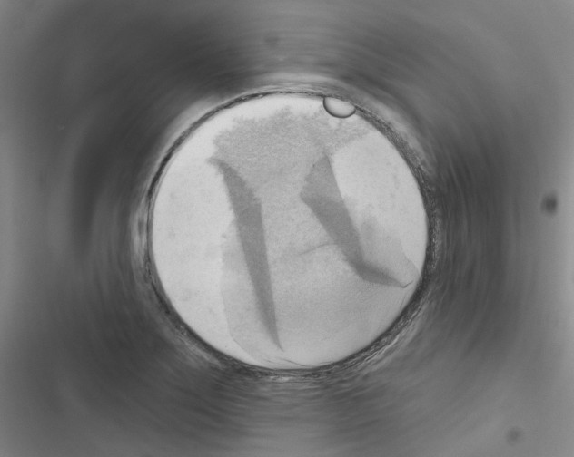 X0000116651275201001251149