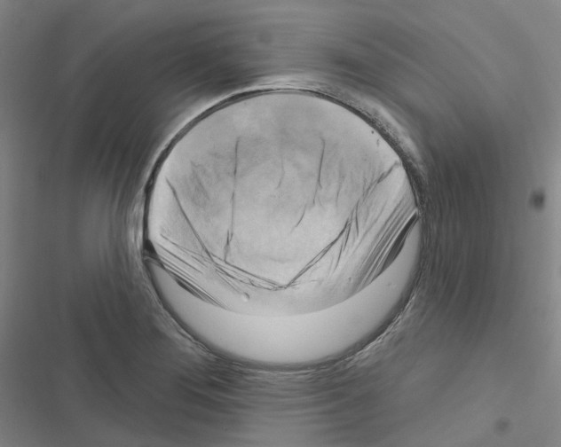 X0000116651276201001251149