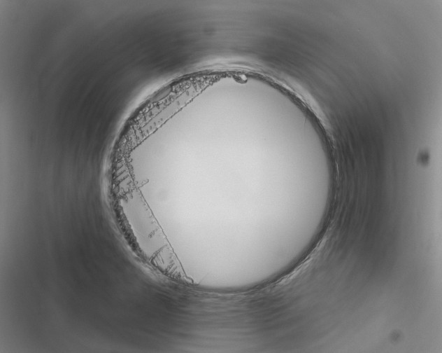 X0000116651277201001251149