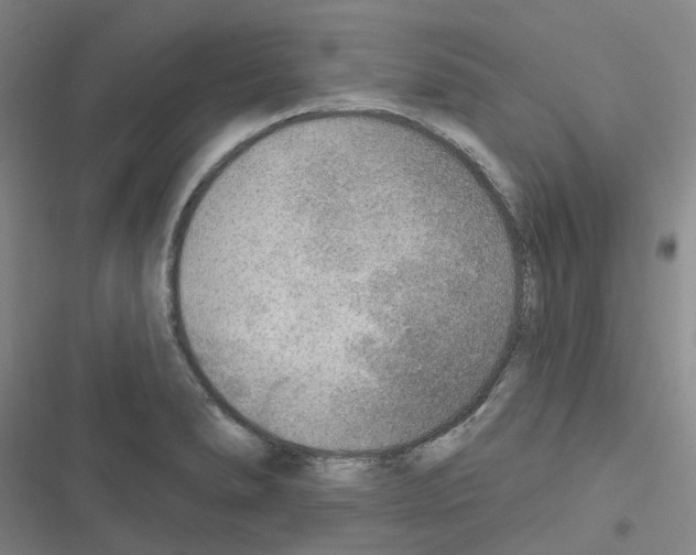 X0000116651278201001251149