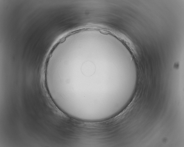 X0000116651280201001251149