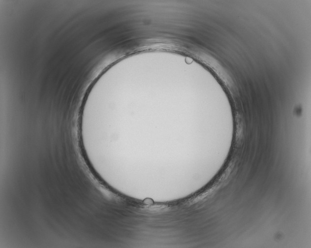 X0000116651282201001251149