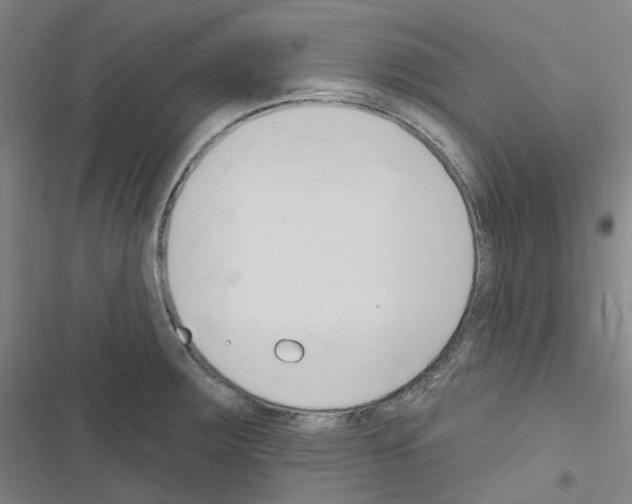 X0000116651283201001251149