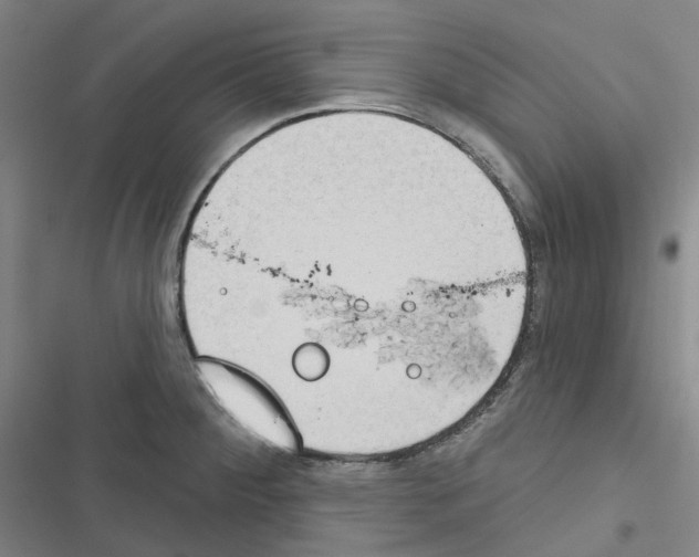 X0000116651284201001251149
