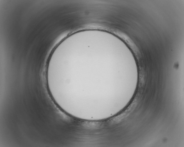 X0000116651286201001251149