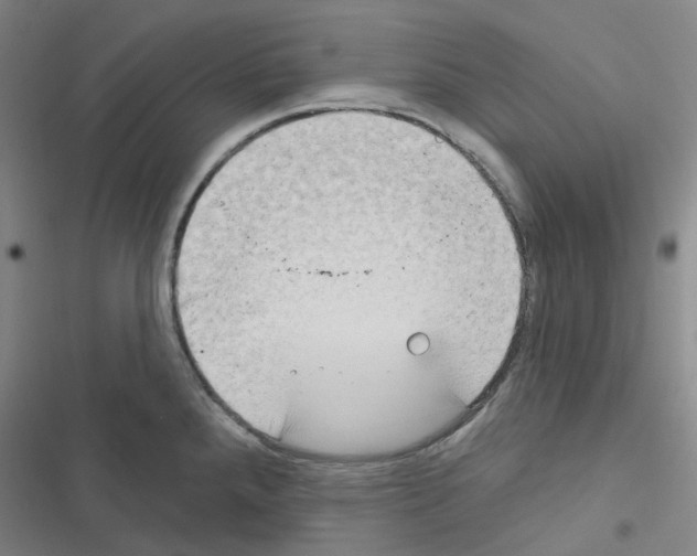X0000116651288201001251149