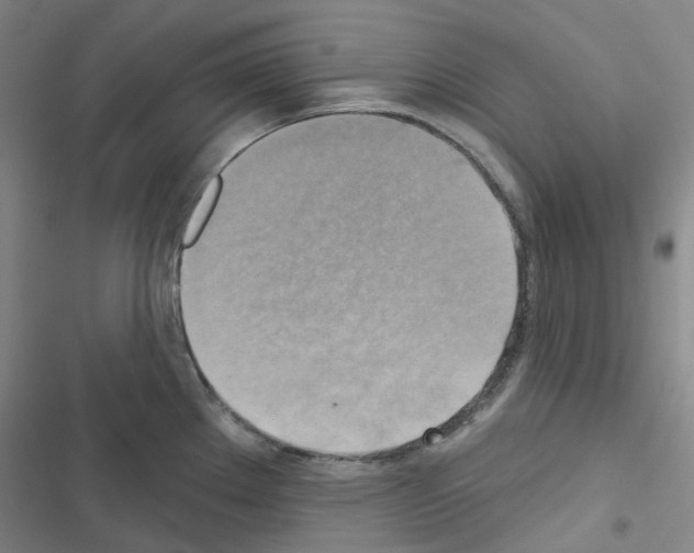 X0000116651289201001251149