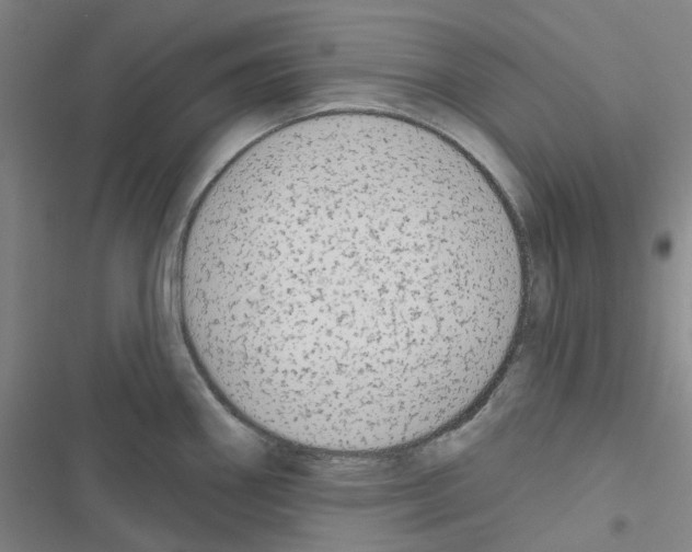 X0000116651290201001251149