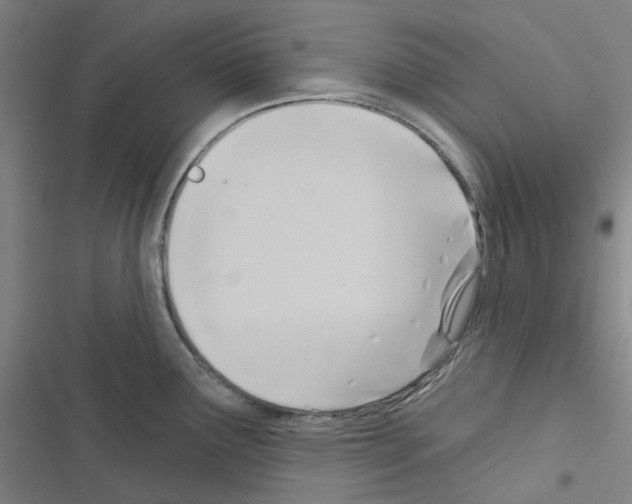 X0000116651291201001251149