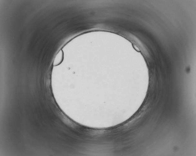 X0000116651292201001251149