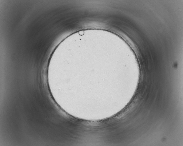 X0000116651293201001251149