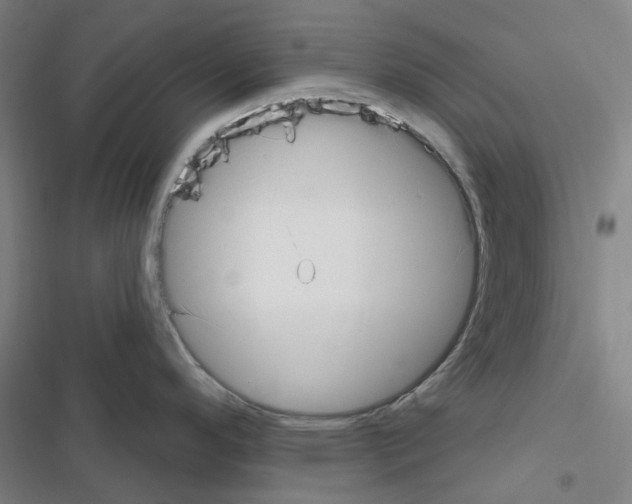 X0000116651296201001251149