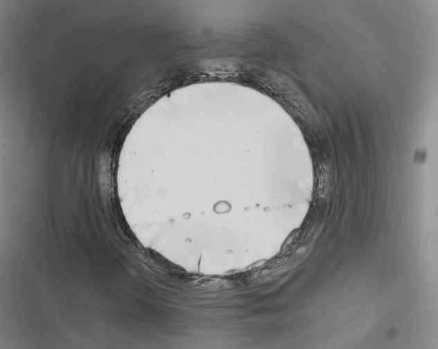X0000116651298201001251148