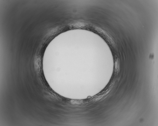 X0000116651299201001251148