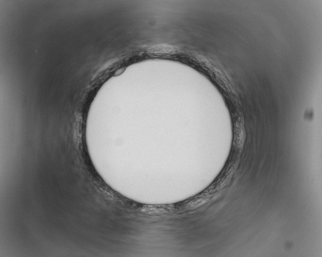 X0000116651301201001251148