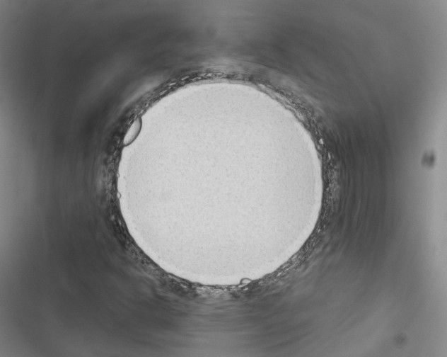 X0000116651302201001251148