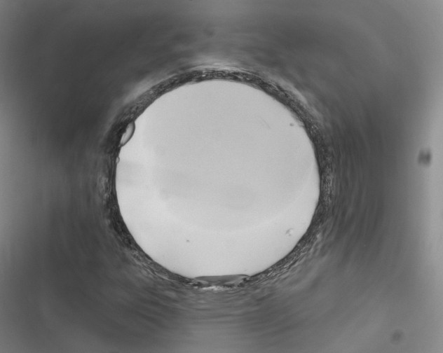 X0000116651303201001251148