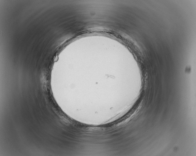 X0000116651305201001251148