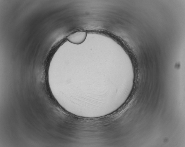 X0000116651306201001251148