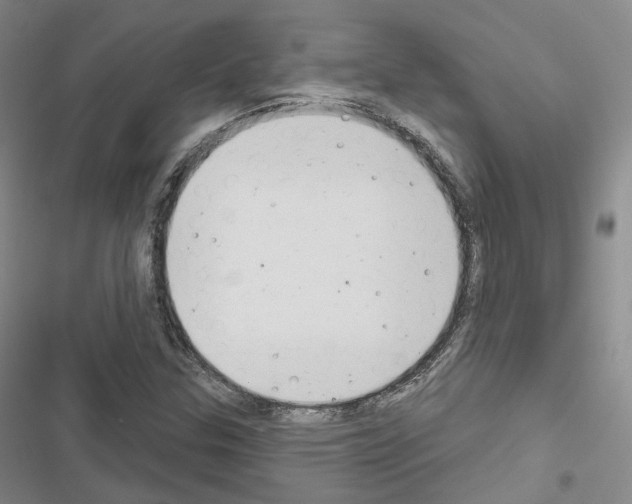 X0000116651307201001251148