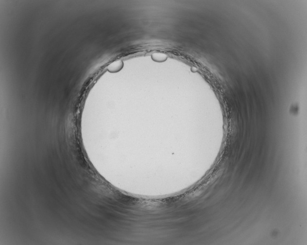 X0000116651309201001251148