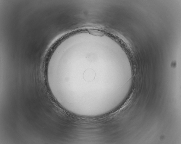 X0000116651310201001251148