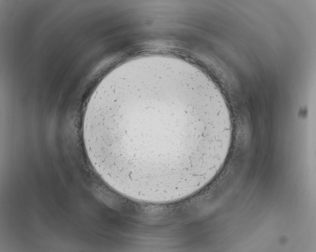 X0000116651314201001251148