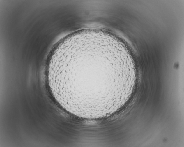 X0000116651315201001251148