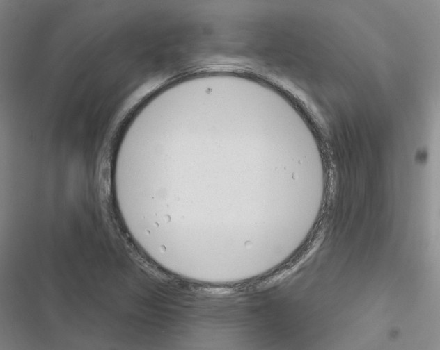 X0000116651317201001251148