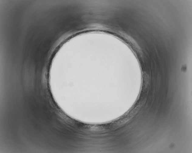 X0000116651318201001251148