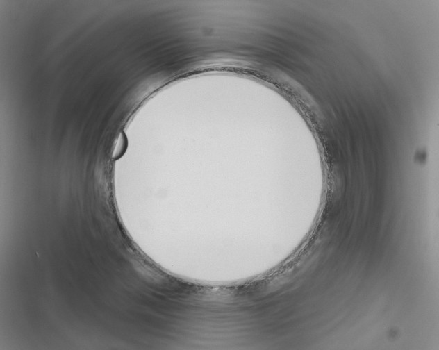 X0000116651321201001251149