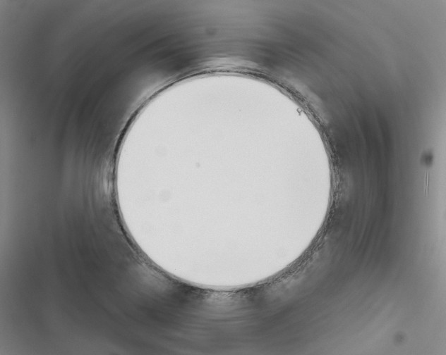 X0000116651322201001251149