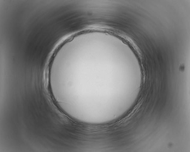 X0000116651323201001251149