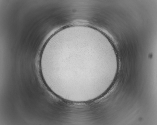 X0000116651325201001251149
