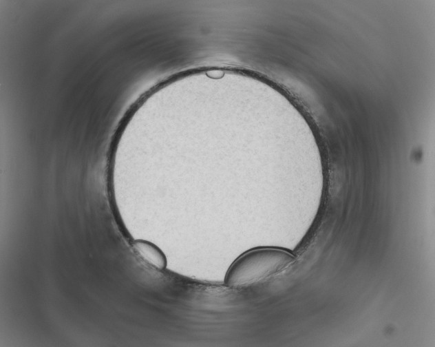X0000116651326201001251149
