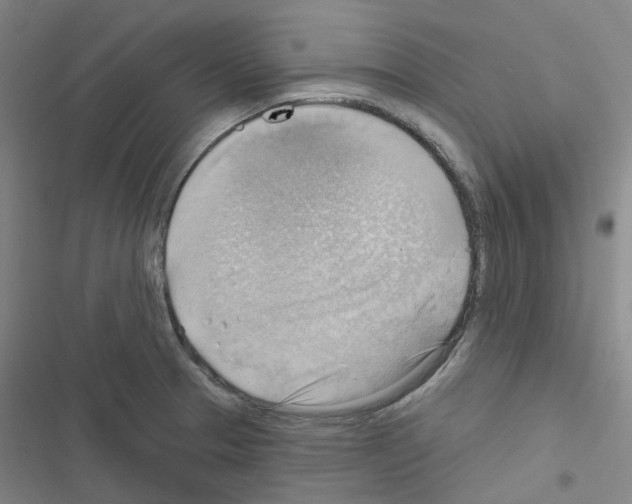 X0000116651329201001251149