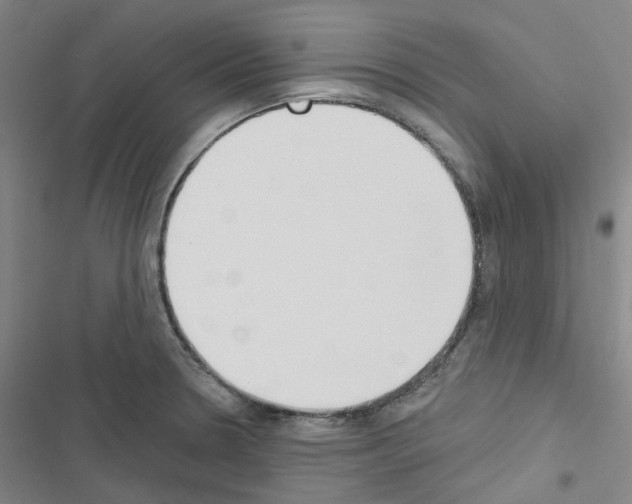 X0000116651330201001251149
